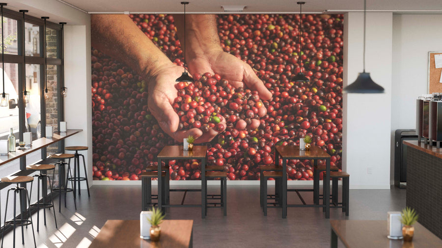 A modern café with wooden tables and stools features the "Harvested With Heart Wall Mural" on the back wall, showing hands holding red coffee cherries. Potted plants decorate tables, with natural light beneath black pendant lights.