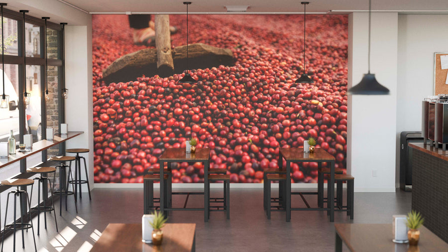 A modern cafe with wooden tables, tall stools, small potted plants, and the "Harvesting Coffee Wall Mural" featuring red coffee cherries being raked. Pendant lights hang above, and natural light fills the warm, inviting space.
