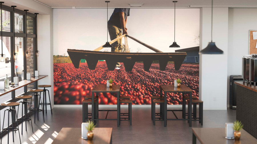 A bright, modern café features wooden tables and chairs, potted plants, and a Raking Cherries Wall Mural depicting a person raking red coffee cherries. Wide left windows bring in natural light; a coffee station appears on the right.