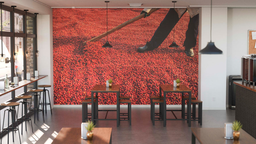 A modern café with wooden tables, stools, potted plants, and the Raking Coffee Wall Mural featuring a close-up of raked red coffee cherries. Pendant lights hang above and large windows line the left wall.