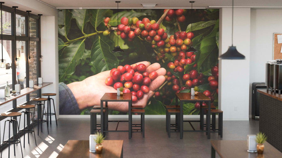 A modern café interior features wooden tables, chairs, and hanging lights. The back wall displays the Ripe Coffee Wall Mural showing hands holding red coffee cherries. Small plants accent tables by the windows.