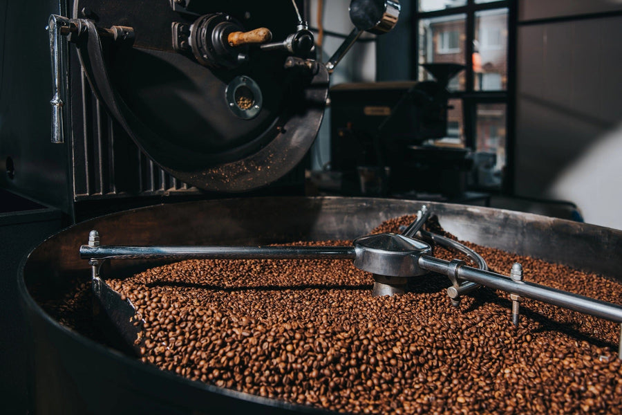 A modern café with wooden tables, stools, potted plants, and large windows features the Coffee Roasting Process Wall Mural. Pendant lights hang overhead, creating a warm and inviting atmosphere.