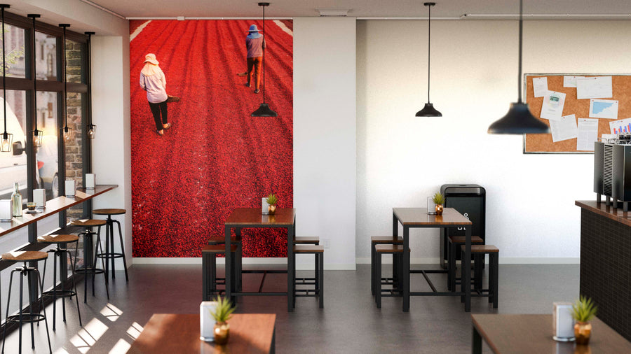 A modern café with wooden tables and bar seating is brightened by large windows. The space features a Sun-Dried Coffee Harvest Wall Mural, a bulletin board with notices, and potted plants for decoration.