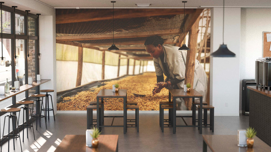 Modern café interior with wooden tables, potted plants, and pendant lights. The back wall features the Where Coffee Begins Wall Mural, depicting a person inspecting coffee beans drying in a greenhouse. Natural light pours through large windows.