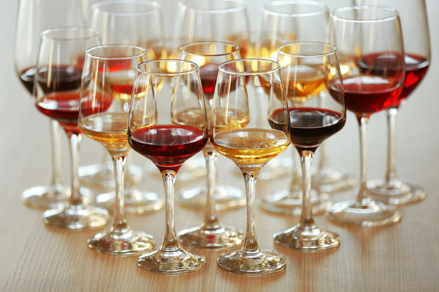 A modern wine bar with tall tables and stools features the Collection of Wine Glasses Wall Mural on its back wall. Sunlight pours through large windows, while wine bottles and small plants accent each table.