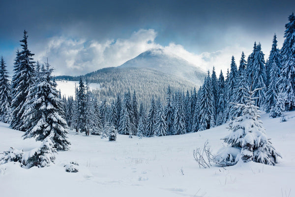 Winter scene of mountains, snow-covered trees, and snowy terrain – Peel and Stick Wall Murals