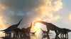 The Dino 8 Wall Mural features long-necked dinosaurs wading in shallow water at sunset, silhouetted against a dramatic sky—perfect for custom printed murals or peel and stick wall mural decor.