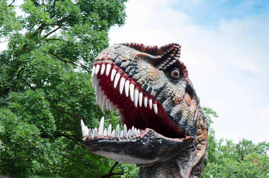 Dinosaur Wall Mural - Peel and Stick Wall Murals Peel and stick Wall Mural Color Original Custom Size