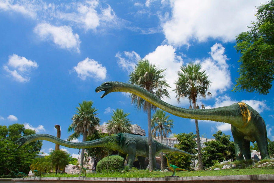 Dinosaur Museum Wall Mural - Peel and Stick Wall Murals Peel and stick Wall Mural Color Original Custom Size