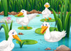 The Nursery 9 Wall Mural features four cartoon white ducks with orange beaks in a lively pond scene of green reeds, rocks, and a pink lotus—perfect for kids’ rooms as an adorable peel and stick or custom printed wall mural.