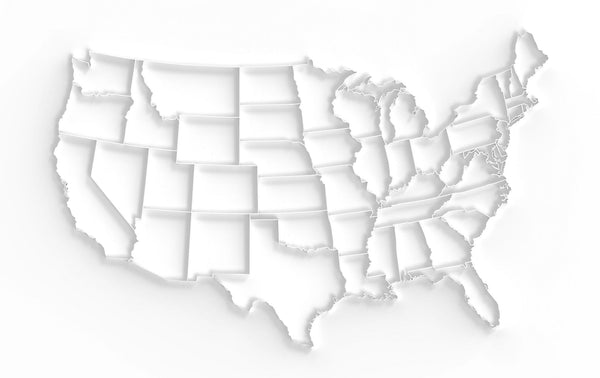 Embossed Map Wall Mural - PASWM