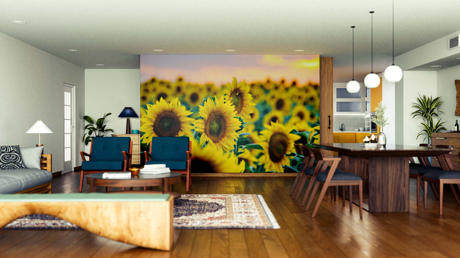 Modern open-plan living and dining area with wood floors and furniture, featuring the 'Evening Field Radiance Wall Mural' of a vibrant sunflower field as a focal point. Blue chairs, patterned rug, and hanging lights complete the cozy, stylish decor.