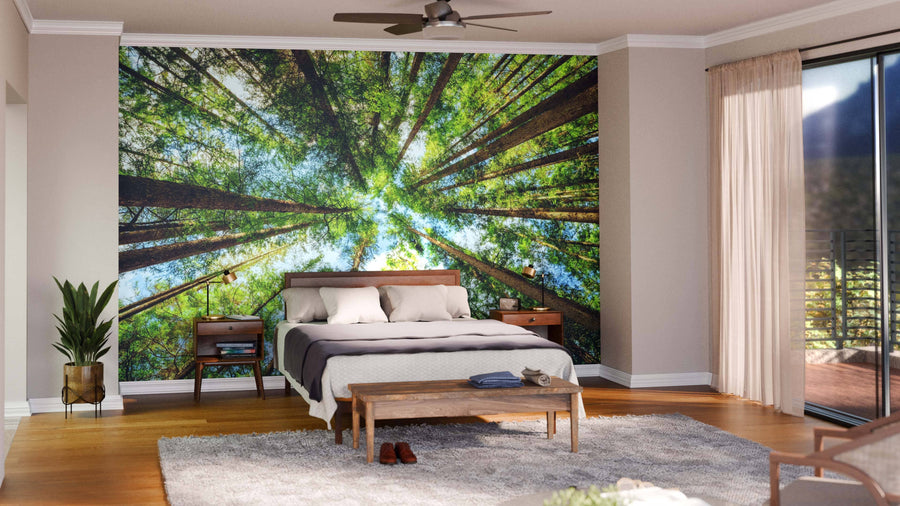 A modern open-plan living and dining area features wood floors, green chairs, wooden tables, and the Evergreen Forest Wall Mural—depicting tall trees viewed from below—for a forest canopy effect and a bright, cozy natural vibe.