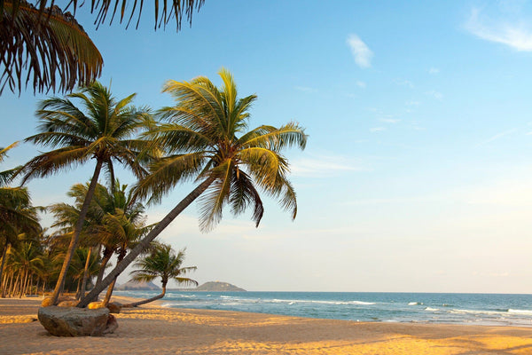 The "Exotic Lonely Beach Wall Mural" depicts a serene tropical paradise with a sandy beach, gently leaning palm trees on the left, and calm ocean waves approaching from the right under a clear blue sky with distant hills. Perfect for bringing tranquility to your space.