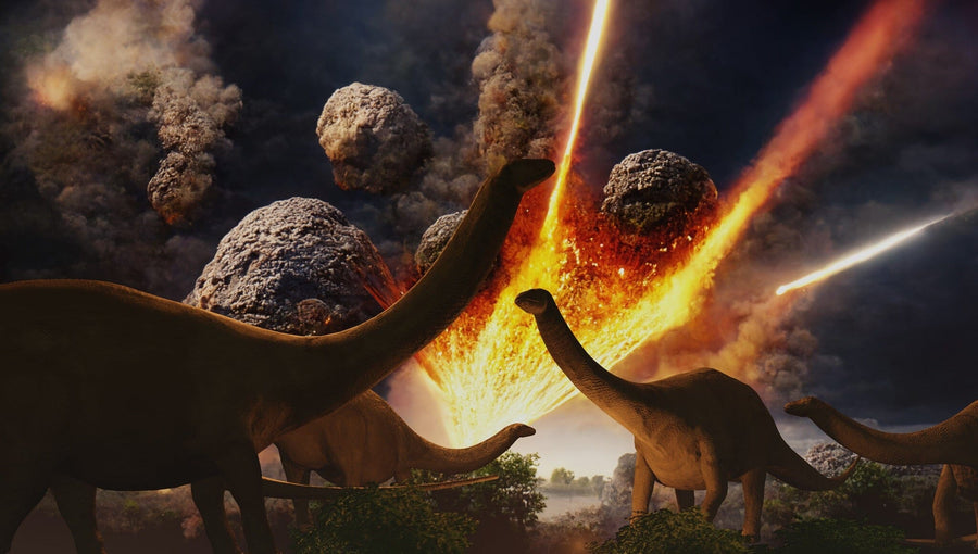 Long-necked dinosaurs stand beneath blazing meteors in the dramatic Extinction Level Event Wall Mural—an eye-catching peel and stick design that brings prehistoric excitement to any space.