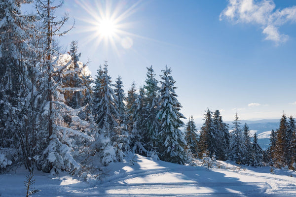 a snowy landscape with trees and blue sky – Peel and Stick Wall Murals