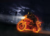 Fiery Ride Wall Mural Peel and stick Wall Mural PASWM Color Original Custom Size