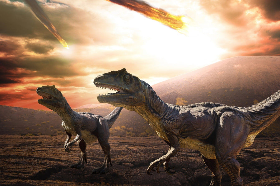 The Dino 1 Wall Mural portrays two realistic Velociraptors on rocky terrain with fiery meteors illuminating the sky. A large hill rises beneath vibrant clouds, creating an ideal scene for transforming any space with a peel-and-stick mural.