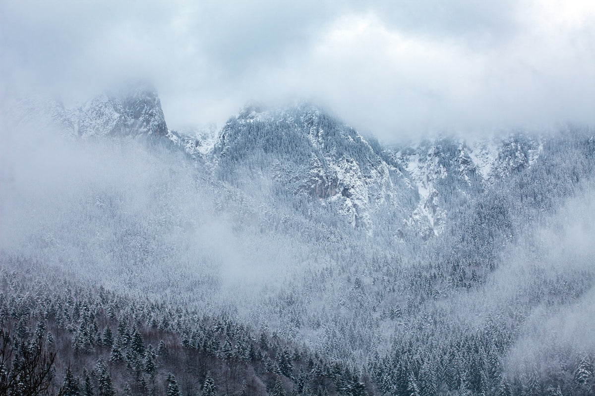 Foggy Mountain Peaks Covered with Pine Forests Wall Mural