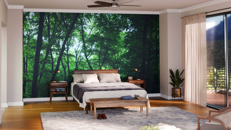 Modern living-dining room with wood floors, mid-century furniture, and pendant lights. The Forest Panorama Wall Mural adds a lush, natural ambiance. Area rugs, decorative accents, and plants complete this cozy, stylish space.