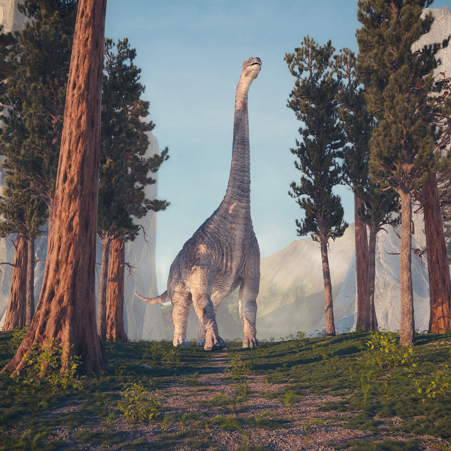 The Dino 9 Wall Mural features a majestic, long-necked dinosaur on a forest path with tall trees and mountains, bathed in sunlight—ideal for bringing a peaceful prehistoric scene to your space with custom printed or peel and stick options.