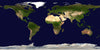 The Map 8 Wall Mural is a flat, rectangular map of Earth showing all continents and oceans in green, brown, and white tones. With detailed deserts, forests, and mountains on a dark blue ocean, it’s perfect as a custom peel and stick wall mural.