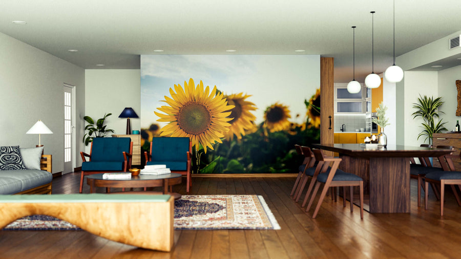A modern open-concept living and dining room with wooden floors, mid-century furniture, and rugs features the Golden Glow Wall Mural of sunflowers. Blue chairs and a sofa are to the left; the kitchen appears in the background.