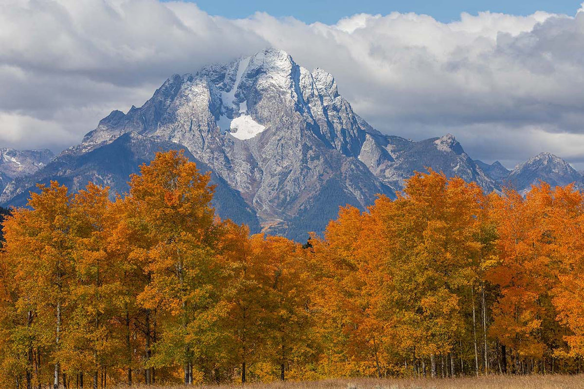 Grand Teton Mountains in the Clouds Wall Mural