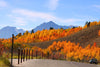 Grand Tetons Mountain Range Wall Mural