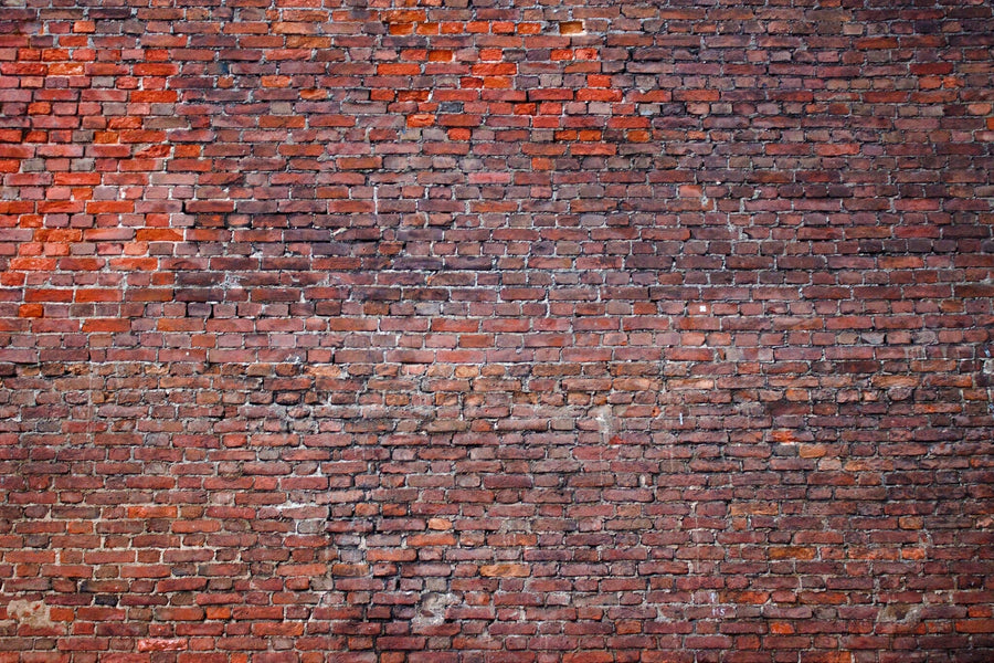 A modern open-plan living and dining area features wood floors, teal and wood furniture, pendant lights, a patterned rug, bright natural light, contemporary decor, and a brick accent wall enhanced by the Grunge Brick Wall Mural.