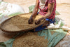 Hands at Work Wall Mural features a person in a pink patterned shirt and blue skirt sorting coffee beans by hand on a woven tray—an ideal accent for any space as custom printed mural or removable wallpaper.