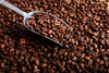 Harvested Coffee Display Wall Mural Peel and stick Wall Mural PASWM 