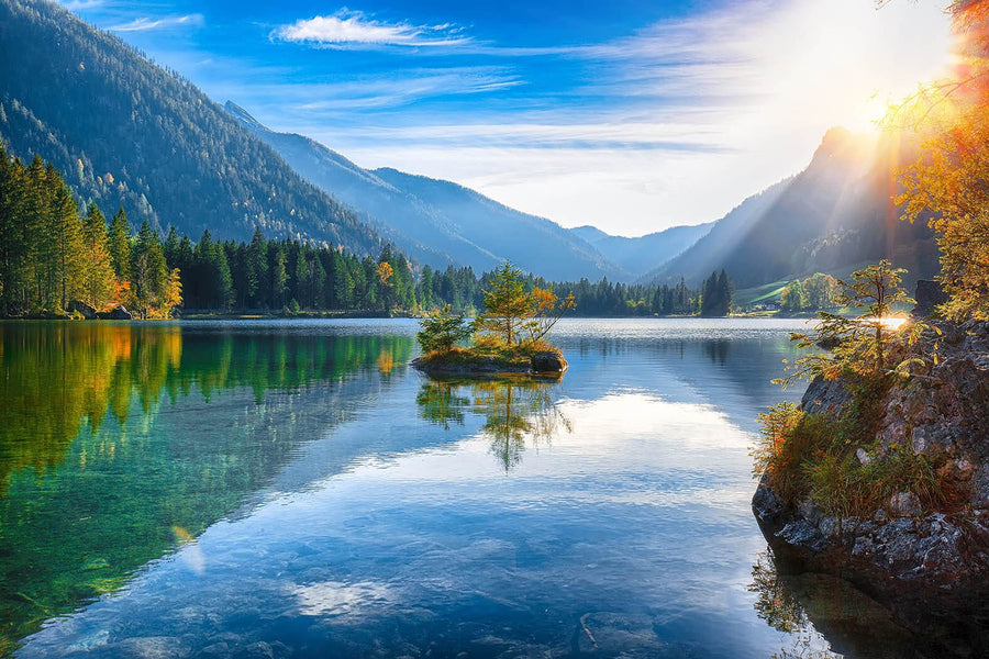A cozy bedroom with a large bed and wooden furniture features the Hintersee Lake Autumn Sunset Wall Mural. Sunlight filters through sheer curtains, and green plants bring a touch of nature to the modern space.