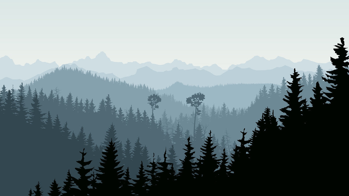Horizontal Illustration of Morning Mist in Forest Hills Wall Mural