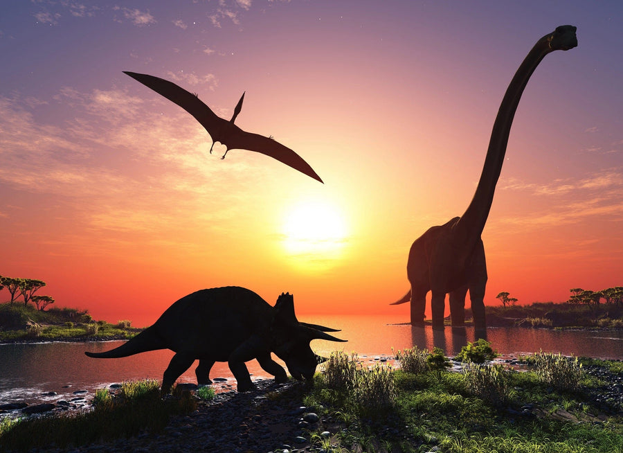Discover the Jurassic Dusk Wall Mural, featuring a scenic prehistoric sunset with a Triceratops by the water, a Brachiosaurus in the background, and a Pterodactyl soaring in the vibrant orange sky. This peel-and-stick mural is easy to apply and remove for stunning decor.