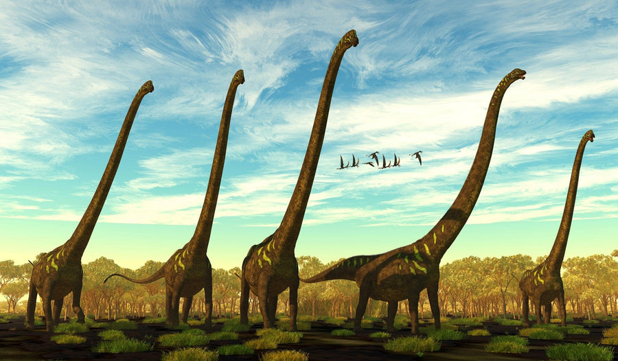 The Dino 4 Wall Mural features long-necked dinosaurs, likely Brachiosaurus, in a grassy landscape under a blue sky with scattered clouds. Pterosaurs soar above and forested areas enhance the charm. Ideal for custom printed murals, this removable wallpaper adds a prehistoric touch to any space.
