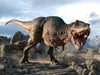 The Jurassic Predator Roars Wall Mural features a fierce Tyrannosaurus rex with open jaws on rocky terrain, set against cloudy skies and distant mountains, creating a dramatic custom printed or removable wallpaper.