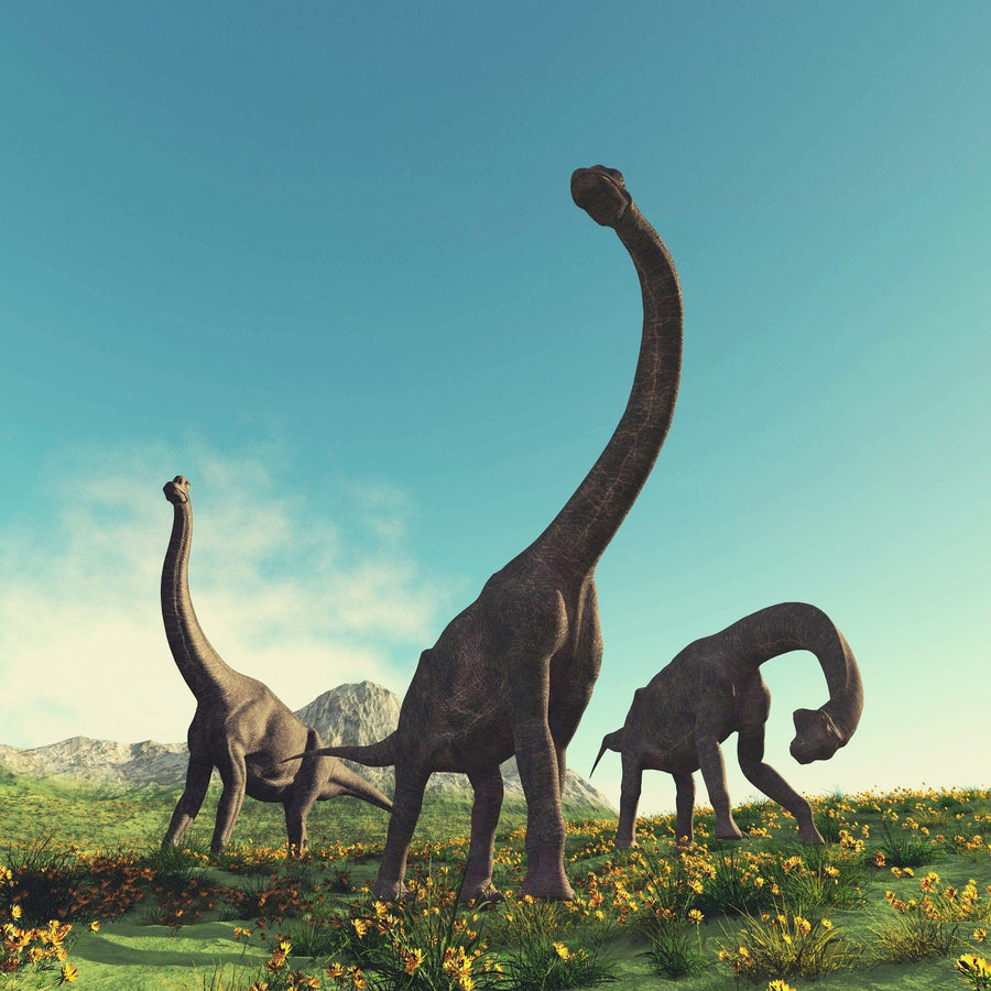 The Dino 7 Wall Mural shows three large sauropod dinosaurs roaming a grassy field with yellow flowers, set against distant mountains and a blue sky with clouds. Perfect as a removable wallpaper or peel and stick wall mural.