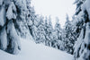 snowy slope in Krivan mountains, High Tatras – Peel and Stick Wall Murals