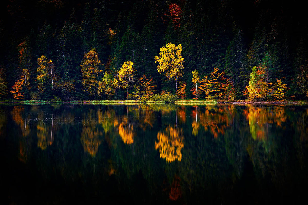 Lake Autumn Reflection Wall Mural