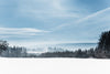 serene winter landscape with snow-covered field – Peel and Stick Wall Murals