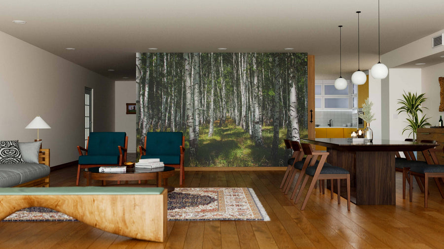 A modern living-dining room with wood floors, blue and wooden chairs, a large table, and the "Birch Tree In The Summer Forest Wall Mural" decorates one wall. Globe pendant lights hang above as sunlight streams through the window.