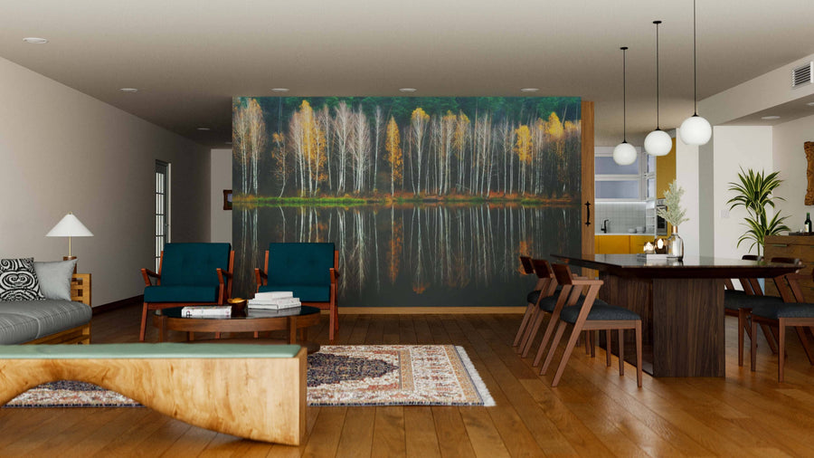 A modern living-dining room with wooden floors, teal armchairs, a Birch trees in Colorful Autumn Reflection Wall Mural, a wooden dining table for six, pendant lights, rugs, and a glass-top bench in the foreground.