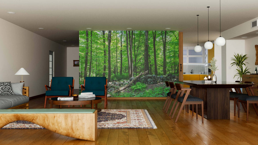 Modern open-plan living and dining area with wooden floors, mid-century furniture, and the Forest of the Quabbin Reservoir Wall Mural as a lush green, nature-inspired focal point. The kitchen can be seen in the background.