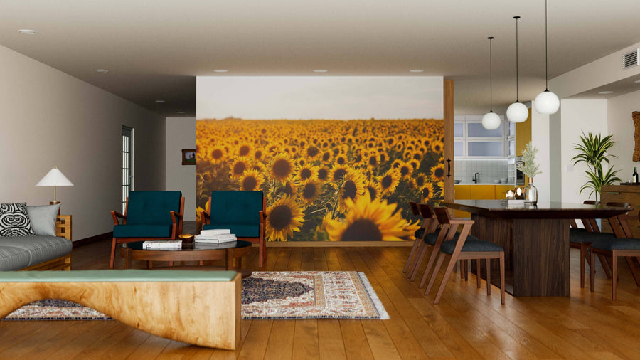 A modern living-dining room with wood floors, teal armchairs, a wooden dining table, and globe pendant lights features the Sunflower Field Wall Mural on one wall, bringing brightness to this open, stylish space.