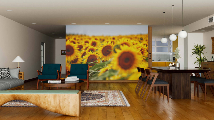 A contemporary living-dining area with wooden floors, teal armchairs, a wooden dining table, and the Sunflower Field Close up Wall Mural. Pendant lighting, a plush rug, and an open kitchen create an inviting atmosphere.