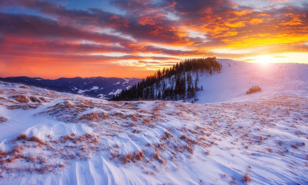 sunset over a snow-covered mountain with majestic winter trees glowing in sunlight – Peel and Stick Wall Murals