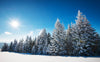 Snowy trees in the winter sun – Peel and Stick Wall Murals