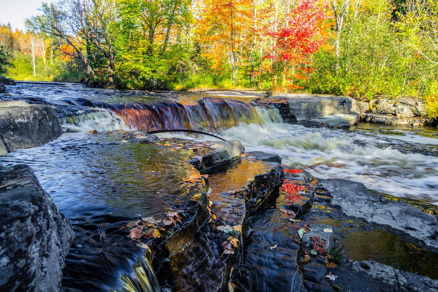 A modern living and dining area with wood floors, mid-century furniture, and a large Michigan Autumn River Wall Mural featuring a vibrant river, waterfall, and autumn trees brings the beauty of nature into the bright, open space.