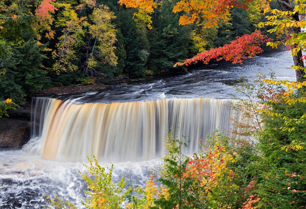 Michigan's Tahquamenon Falls Wall Mural - Peel and Stick Wall Murals Peel and stick Wall Mural Deposit photo Color Original Custom Size